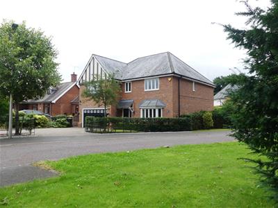 Picture 6